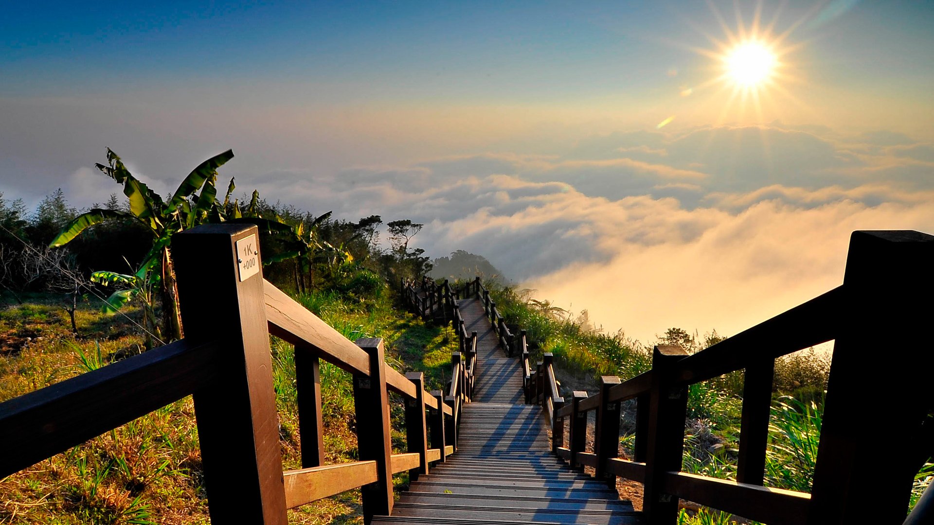 paysage nature escalier brouillard soleil vue