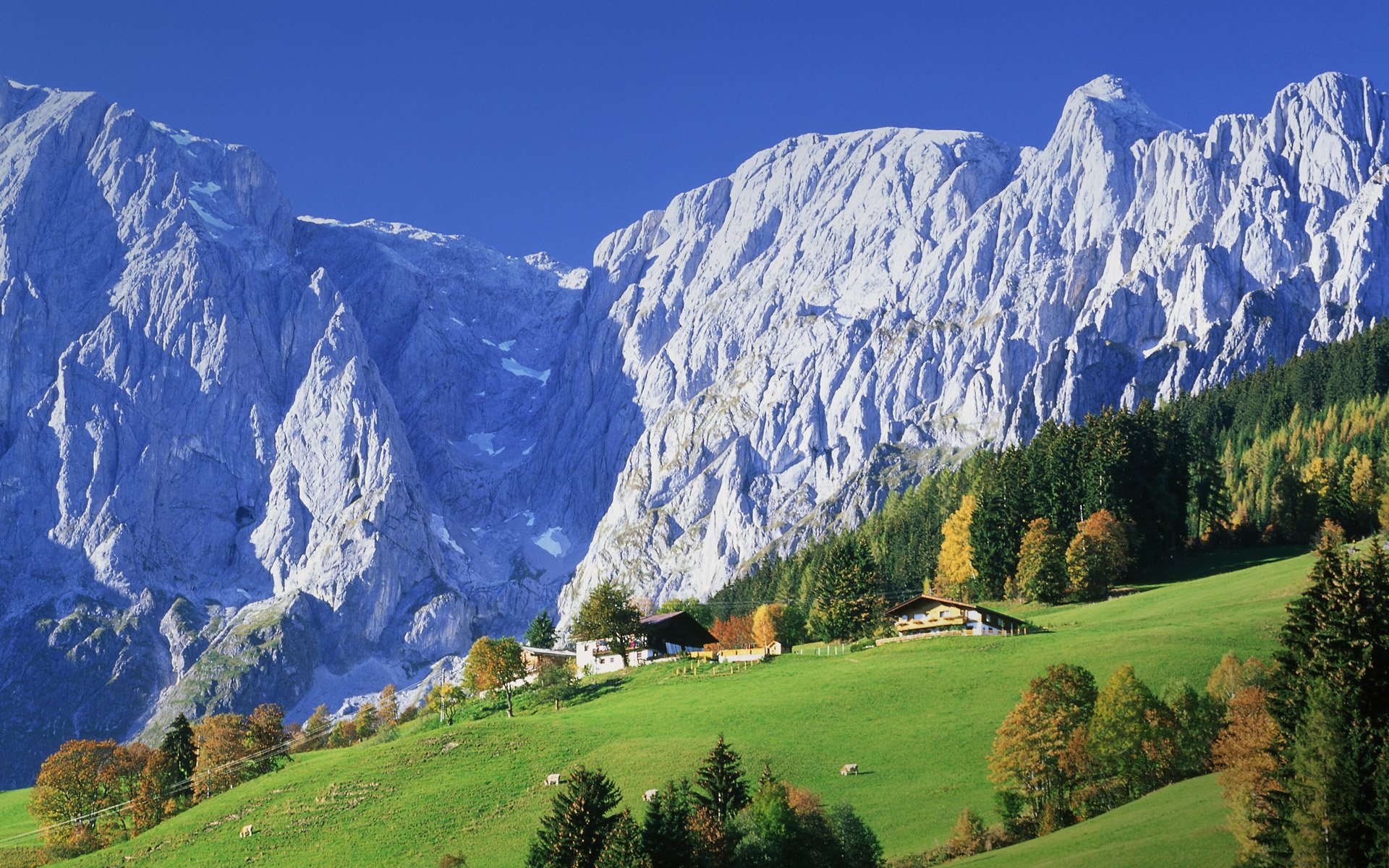 austria mountain house village forest meadows nature