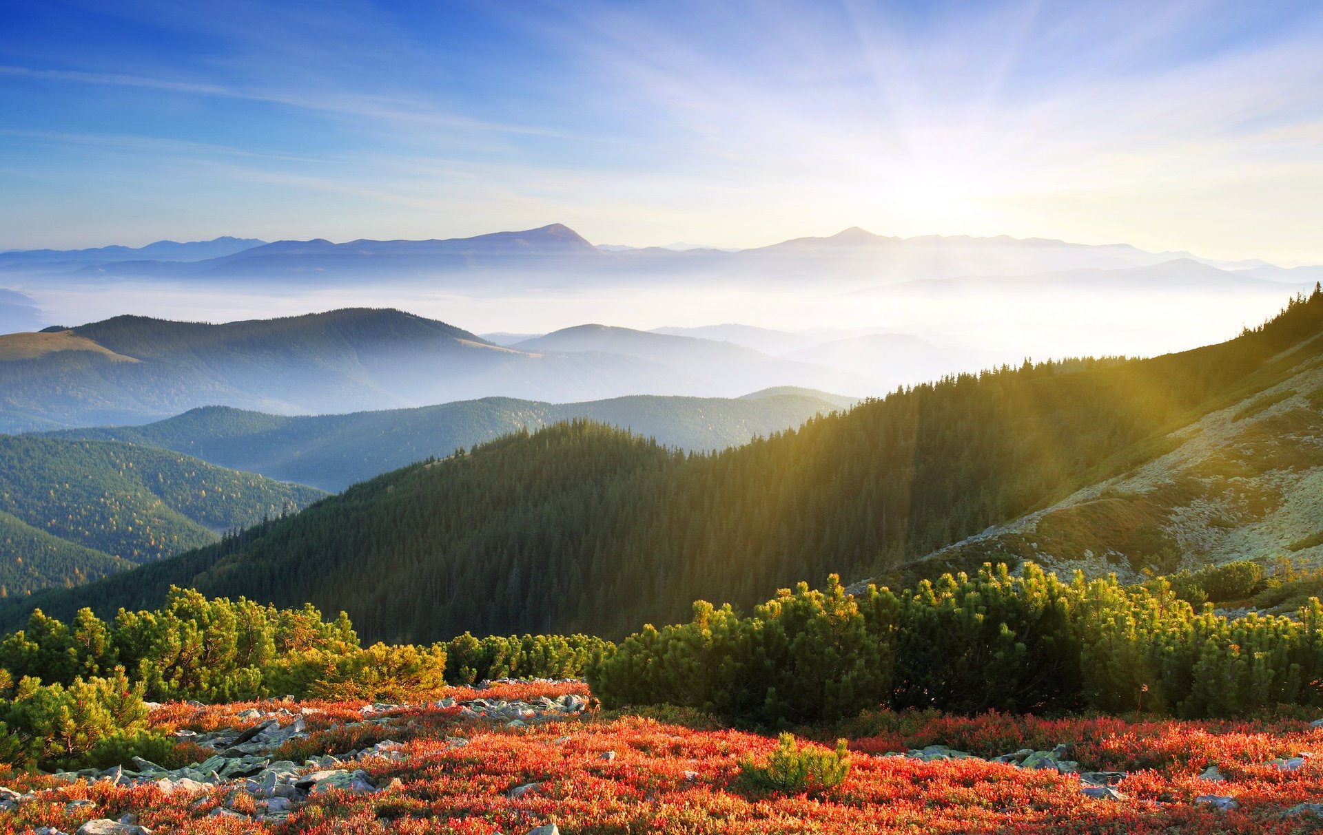 morgen dämmerung sonne strahlen berge wald nebel natur