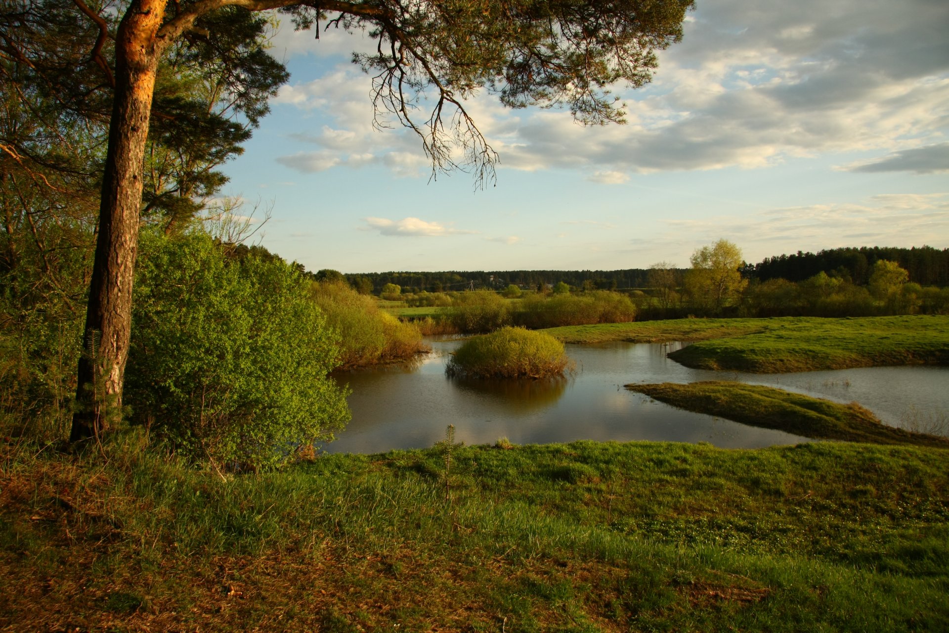 landscape nature river pine sky sports walk