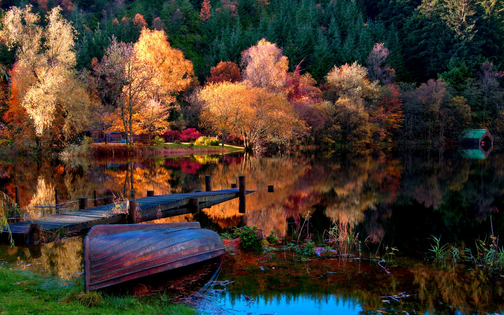 bateau nature paysage lac automne forêt arbres maison feuilles herbe