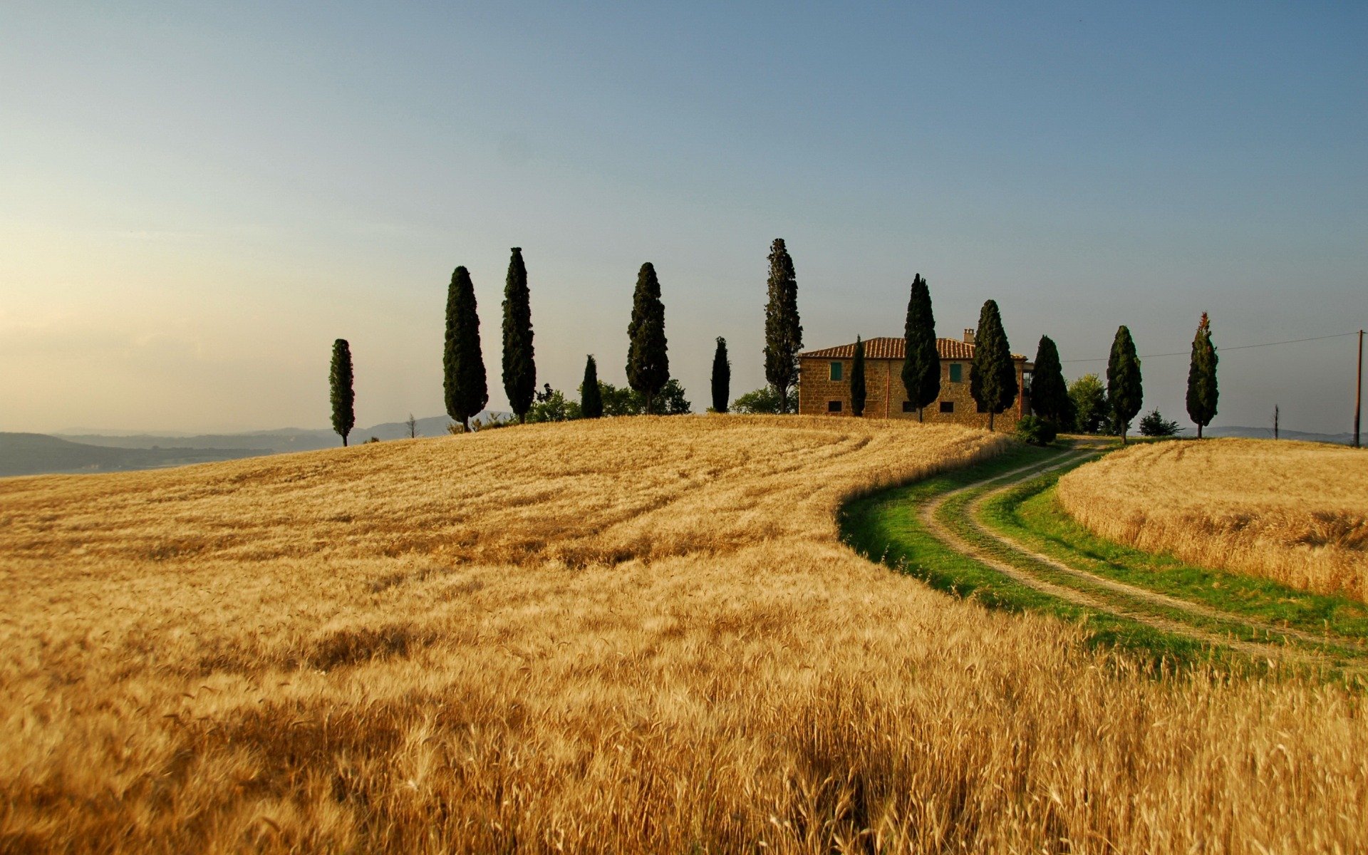 paesaggio natura campo campi italia trascinare grano autunno albero alberi case cielo