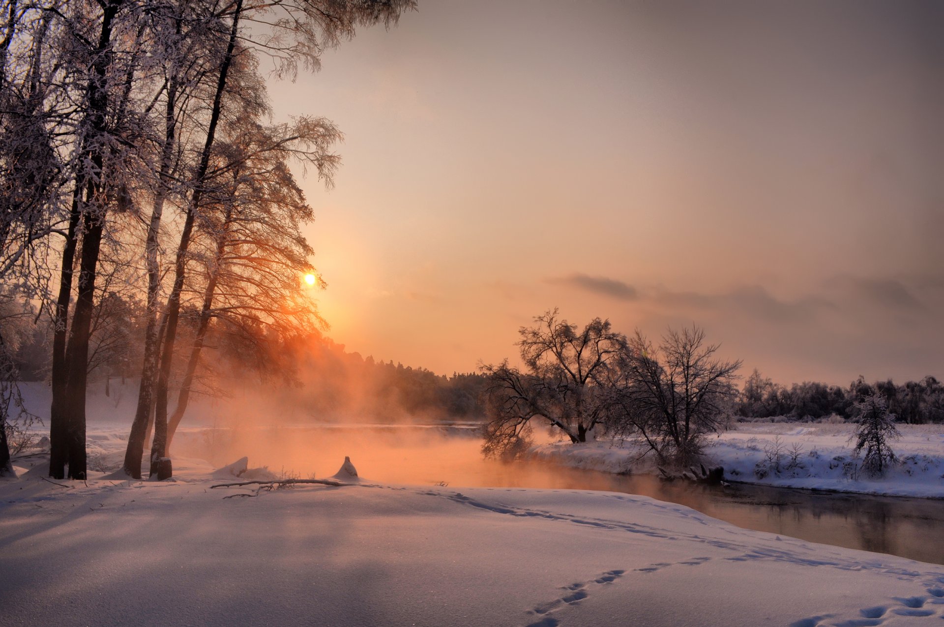 noche diciembre árboles puesta de sol invierno bosque malakhovka cielo paisaje río nieve sol silencio niebla