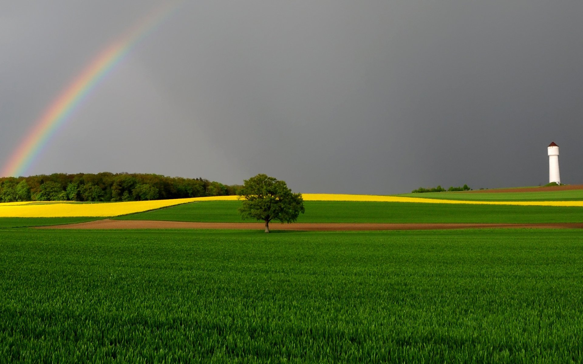 árbol arco iris campos torre cielo