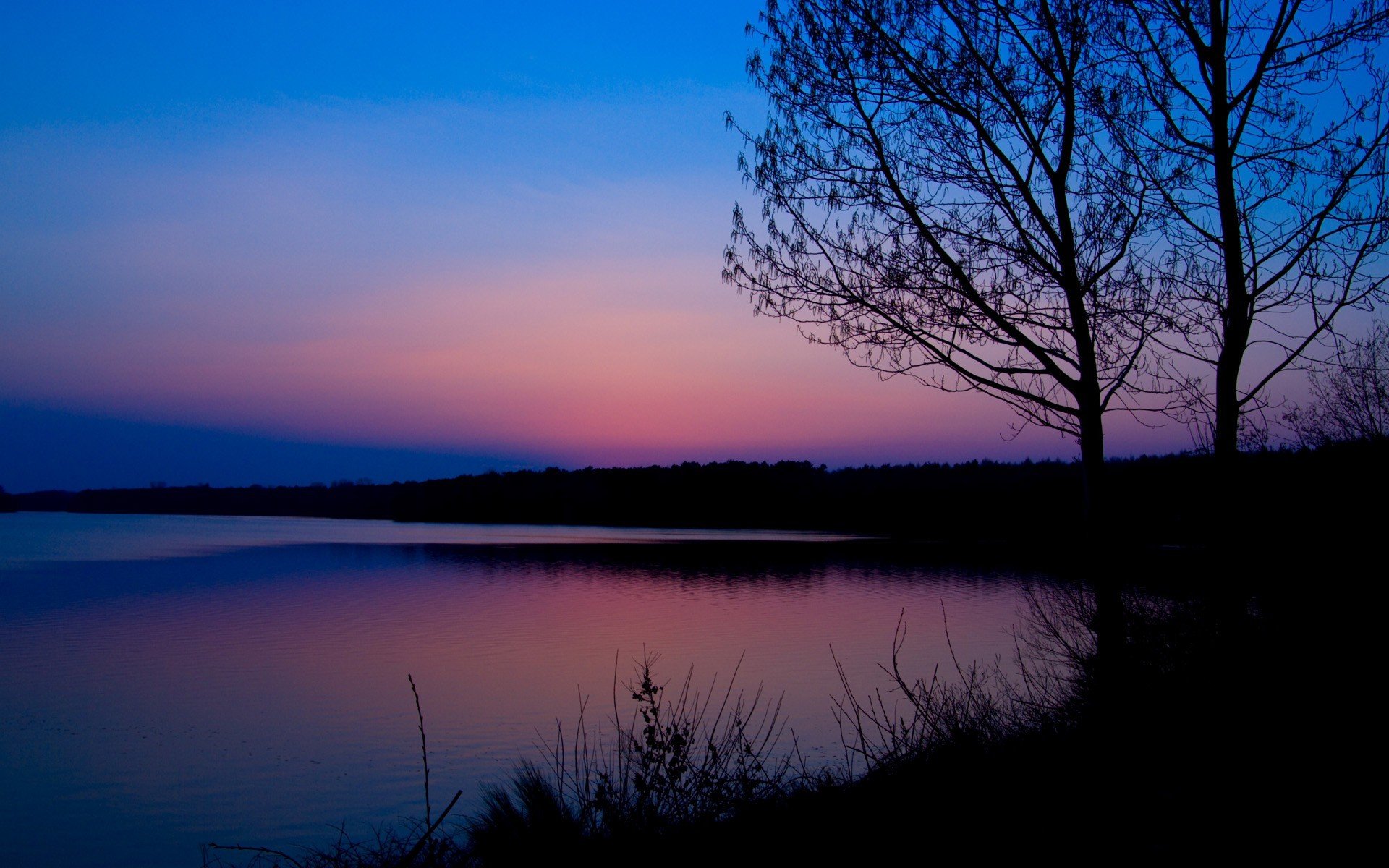 aube rose bleu forêt rivière