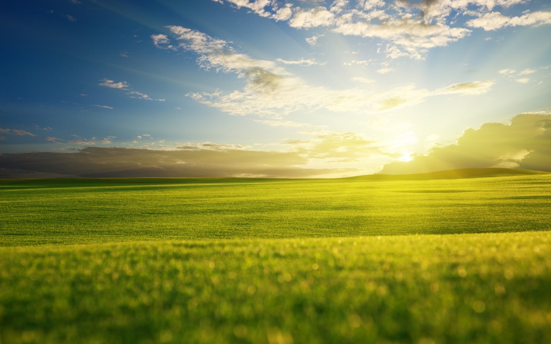 landscapes nature view field fields grass grass grass grass green grass wallpaper horizon hills valley valleys sky cloud clouds sun rays light evening sunset widescreen desktop wallpaper greenery green green landscape wallpaper