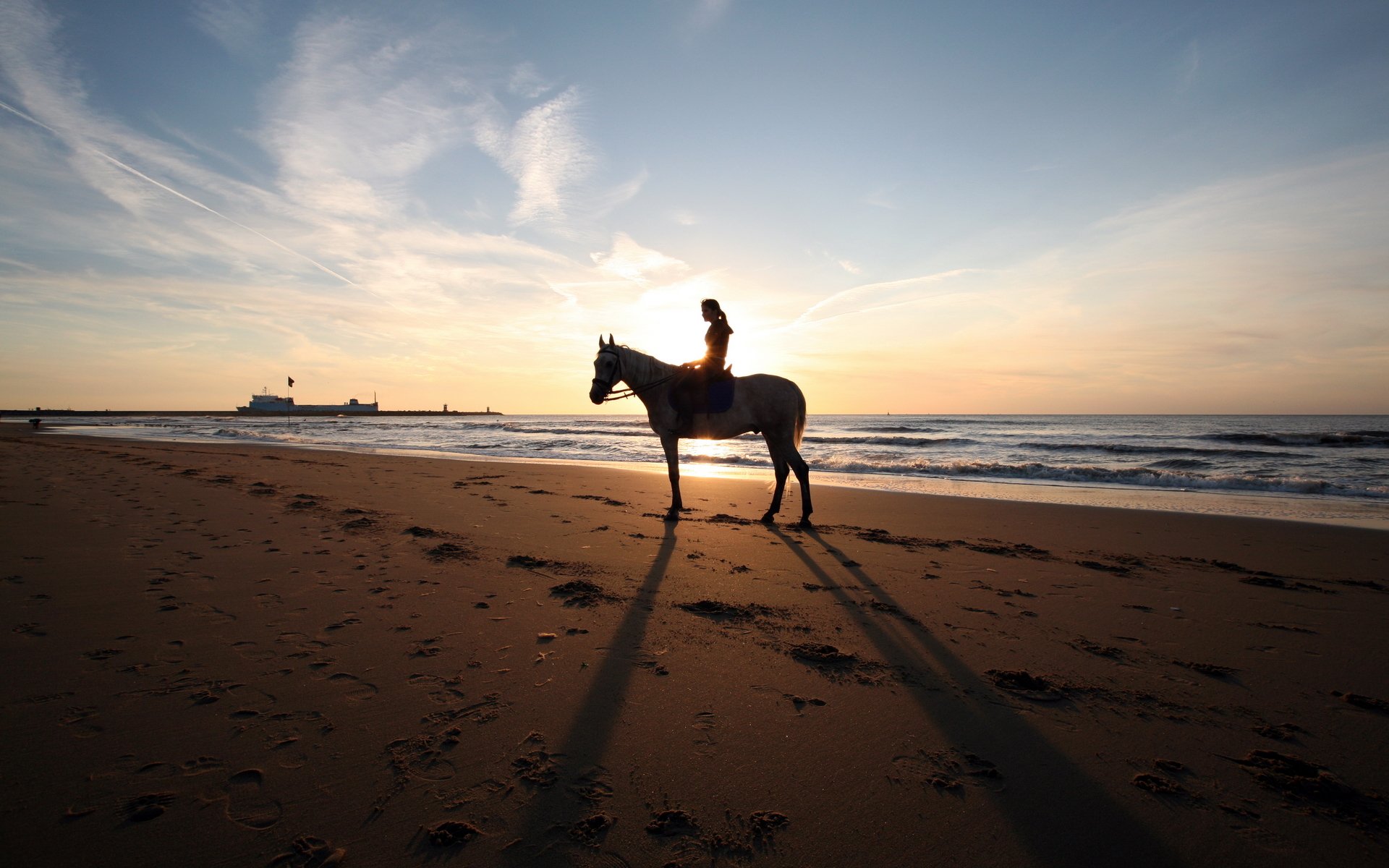 hore beach sand footprints coast horse girl sea ship horizon sky