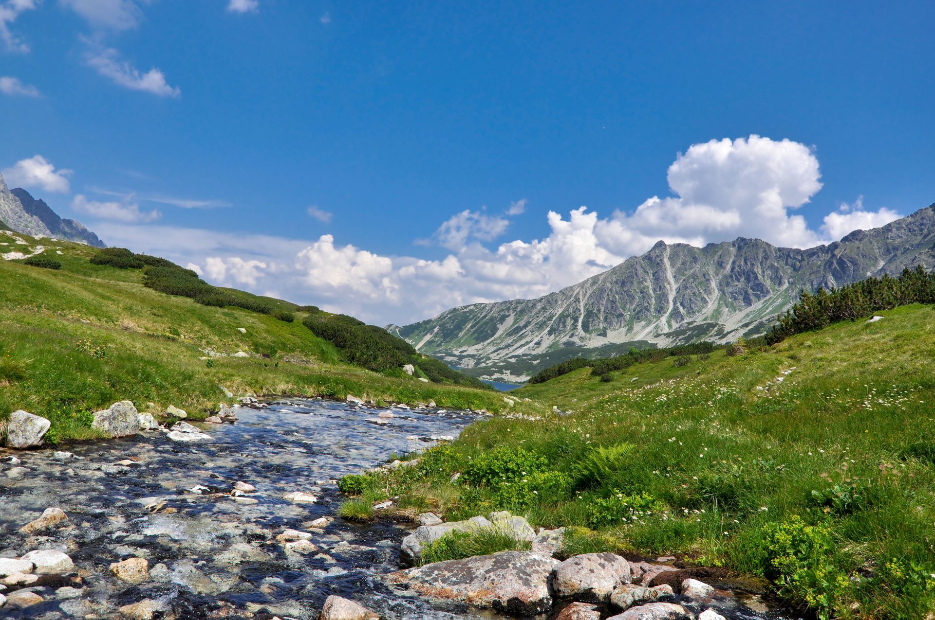 rivière des hauts plateaux paysage nature montagnes rivière