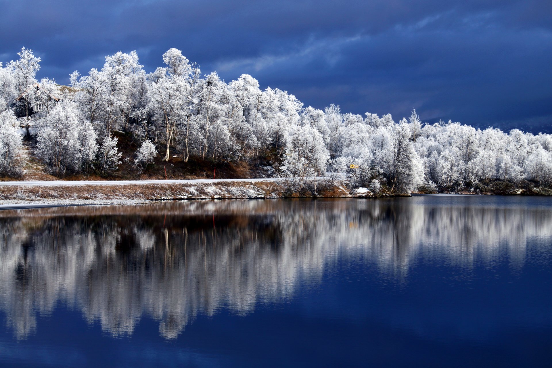 tree river reflection winter iny sky