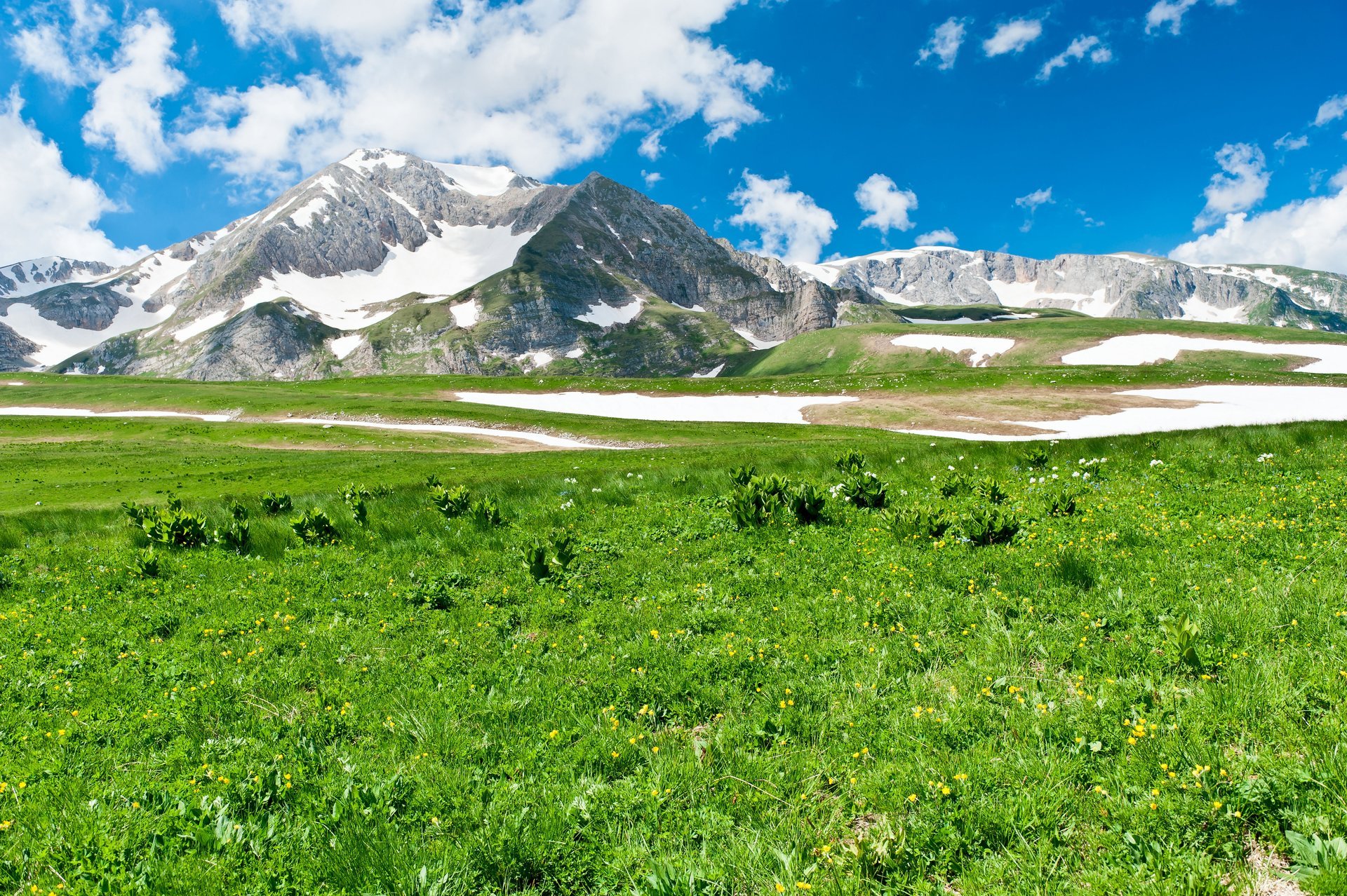 higlands beautiful view nature green grass landscape mountains beauty