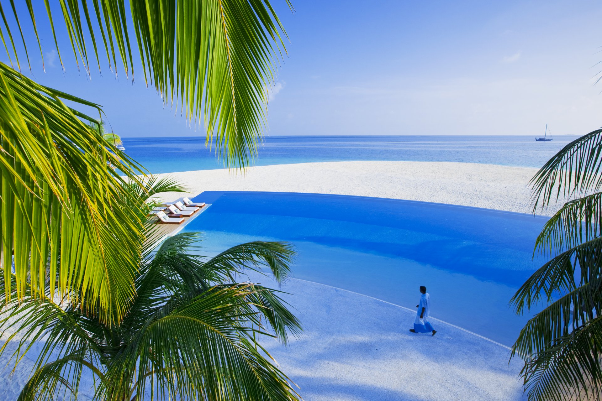 piscine maldives île mer sable blanc palmiers