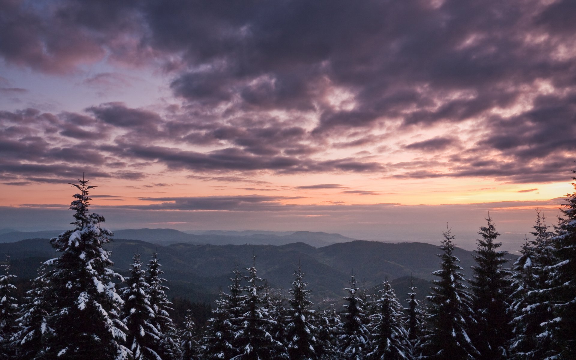 winter landscapes nature winter winter wallpaper tree trees spruce spruce christmas tree snow snowfall mountain mountain peak peaks wind sky altitude winter nature