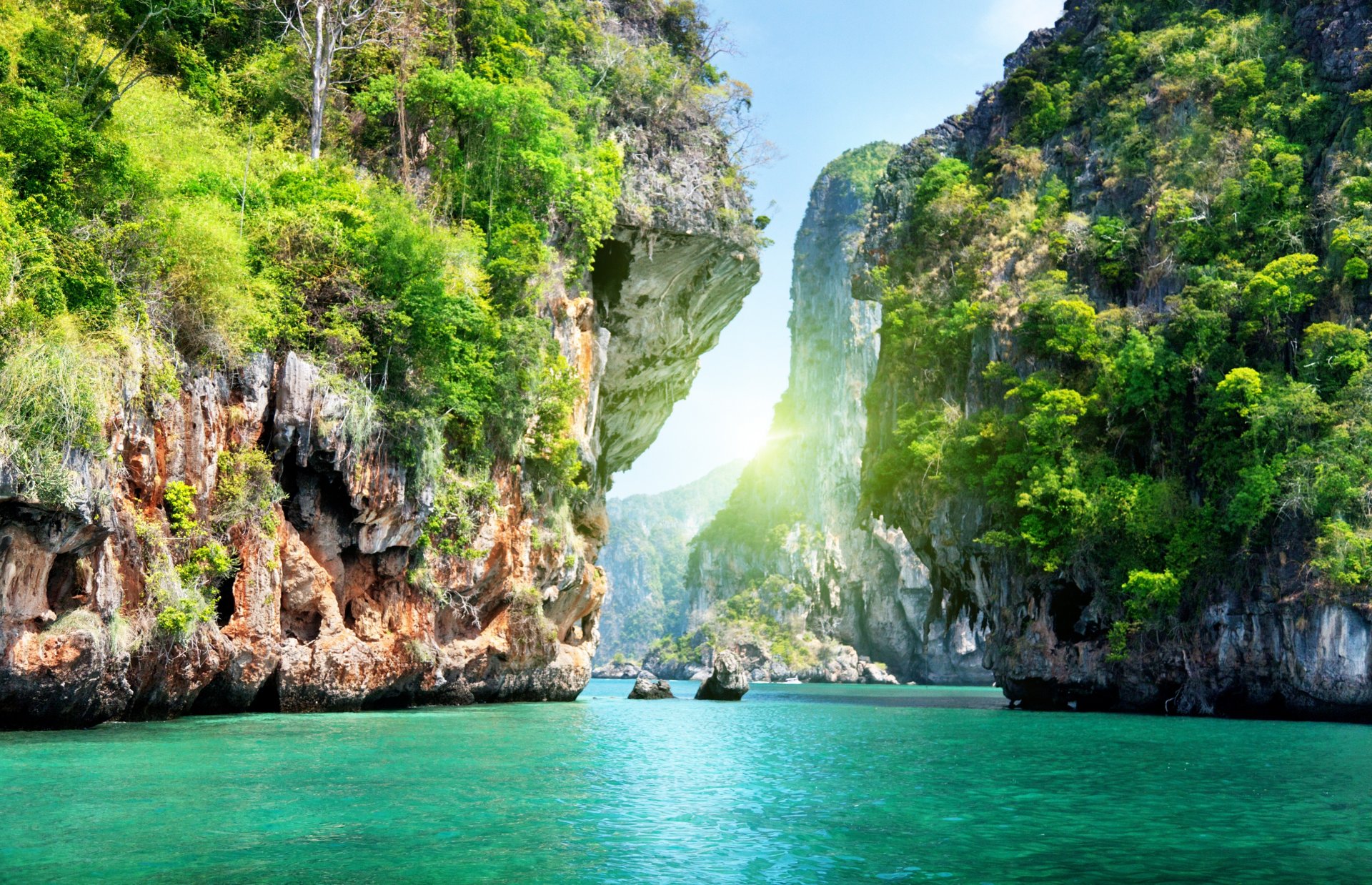 ocean sea water rock tree landscape nature