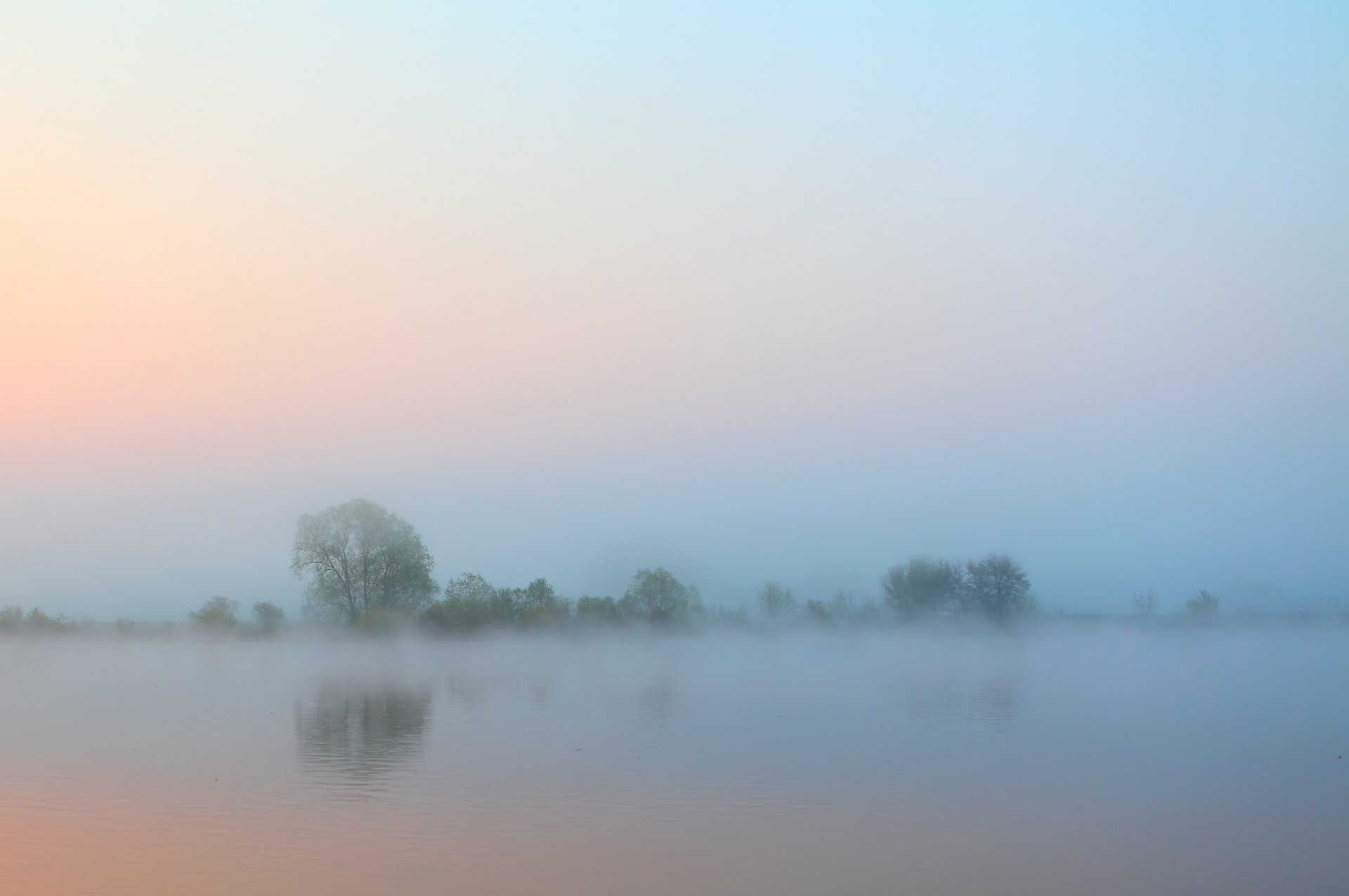 morgen fluss nebel bäume himmel wasser