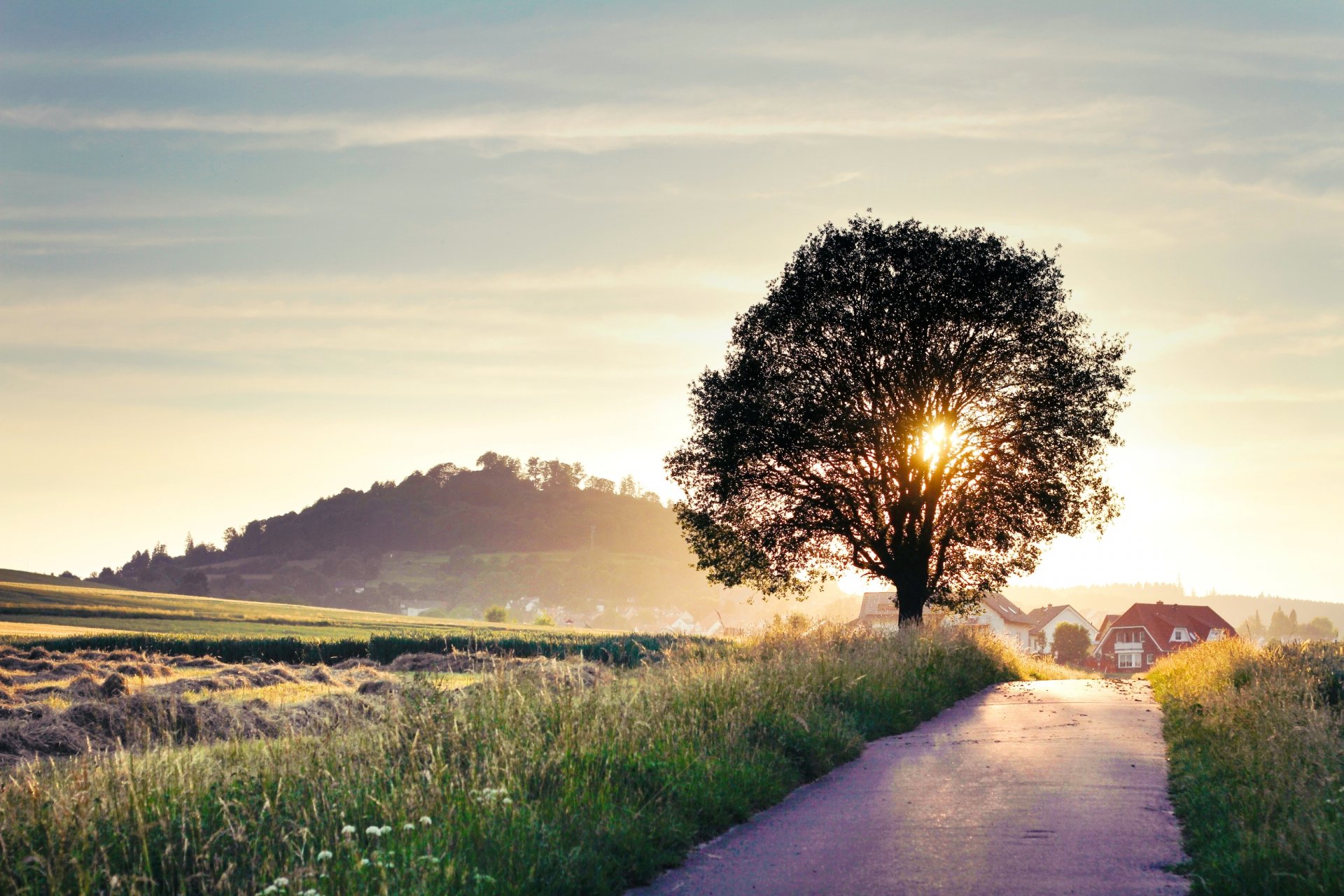 ummer nature landscape road tree house sun light rays background wallpaper