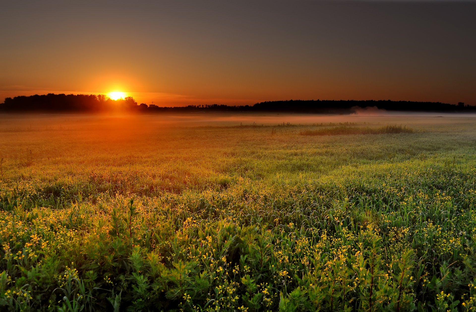 lever du soleil paysage champ nature aube soleil brouillard matin