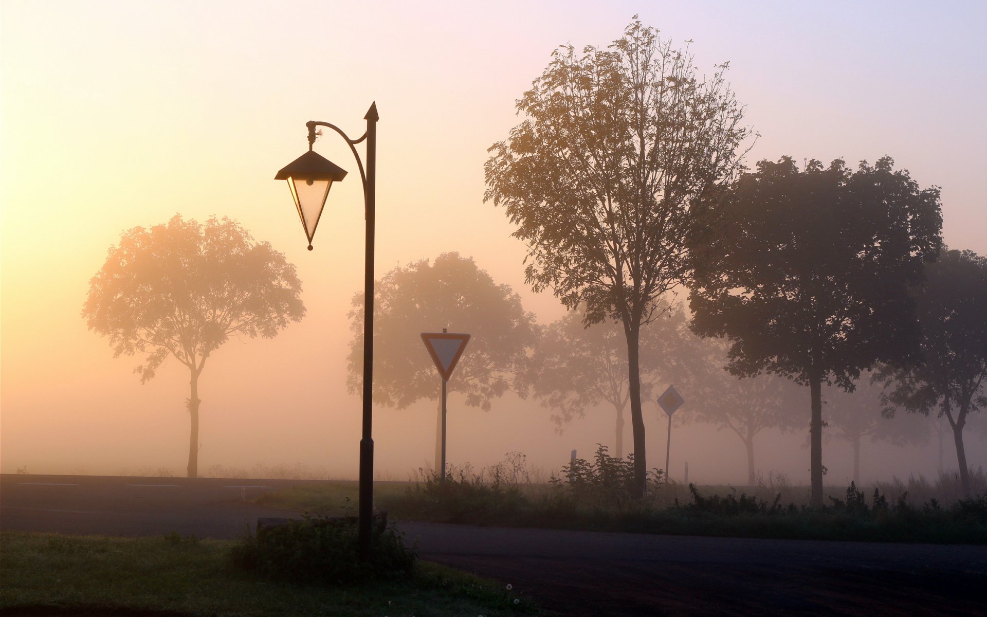 strada segni nebbia