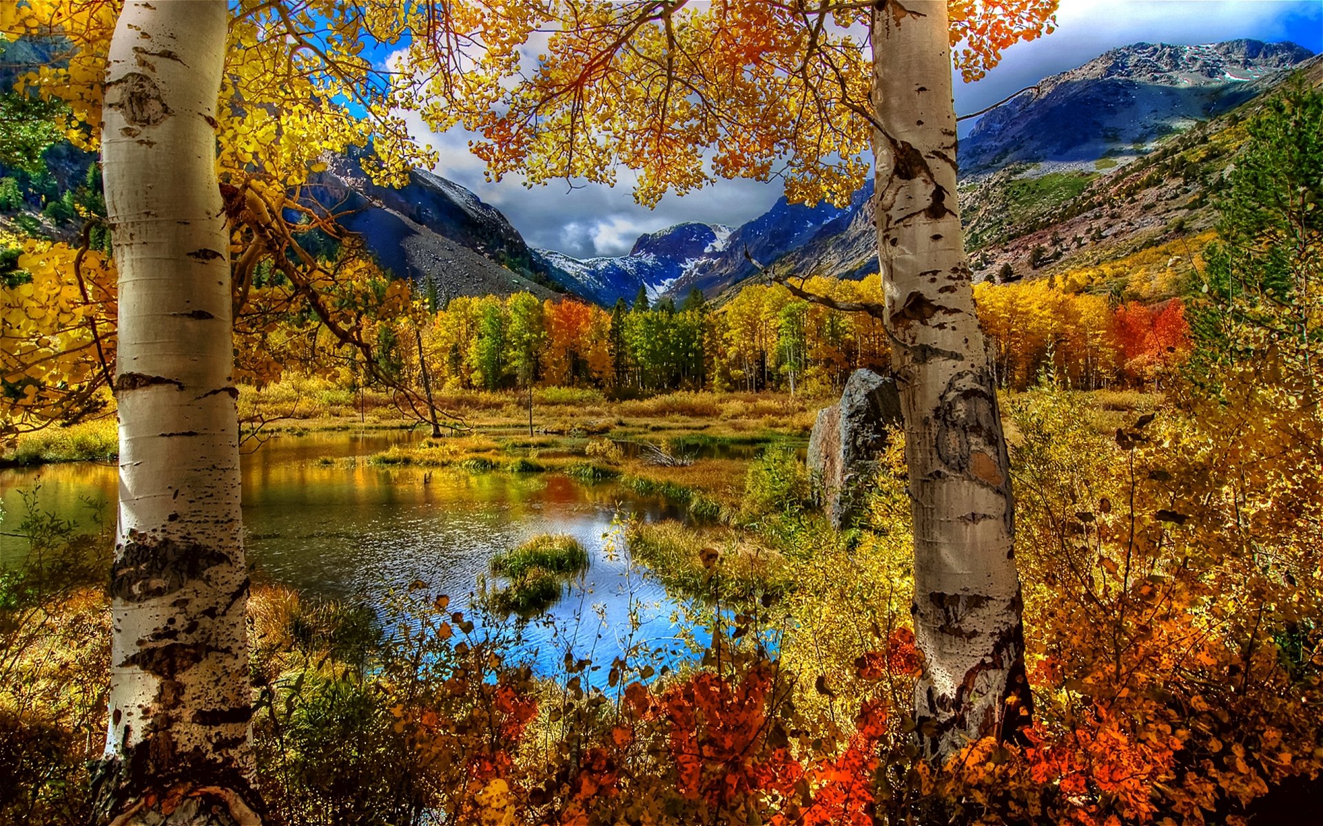 nature paysage automne arbres feuilles montagnes lac ciel nuages herbe