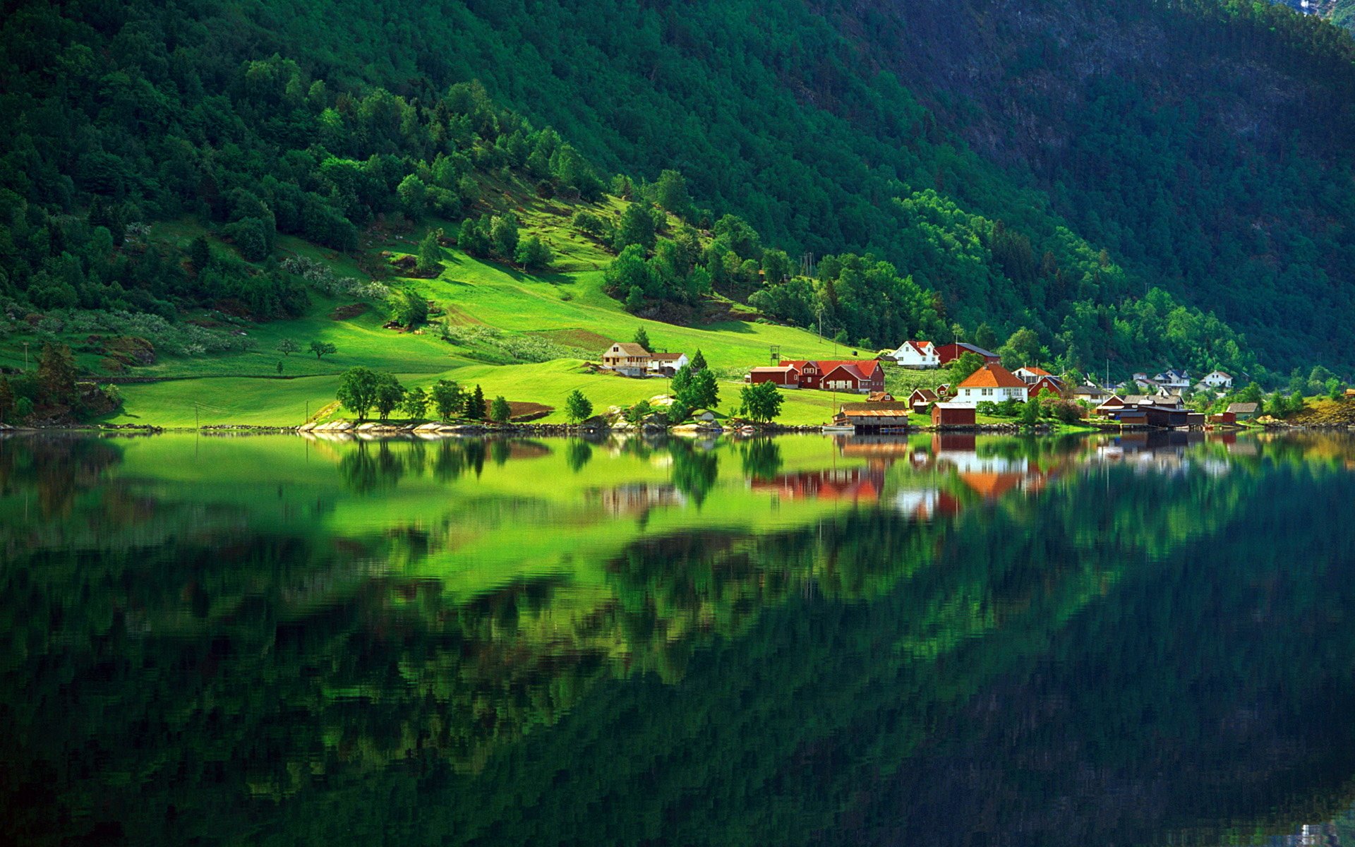 nature forêt verdure été village maisons lac réflexion