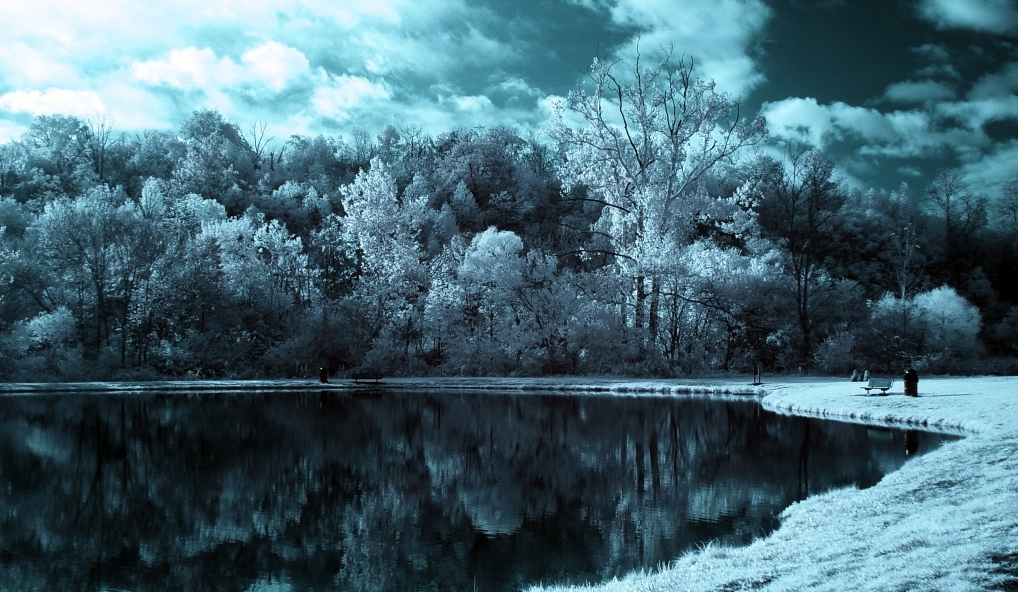 see wald bäume himmel wolken wirkung