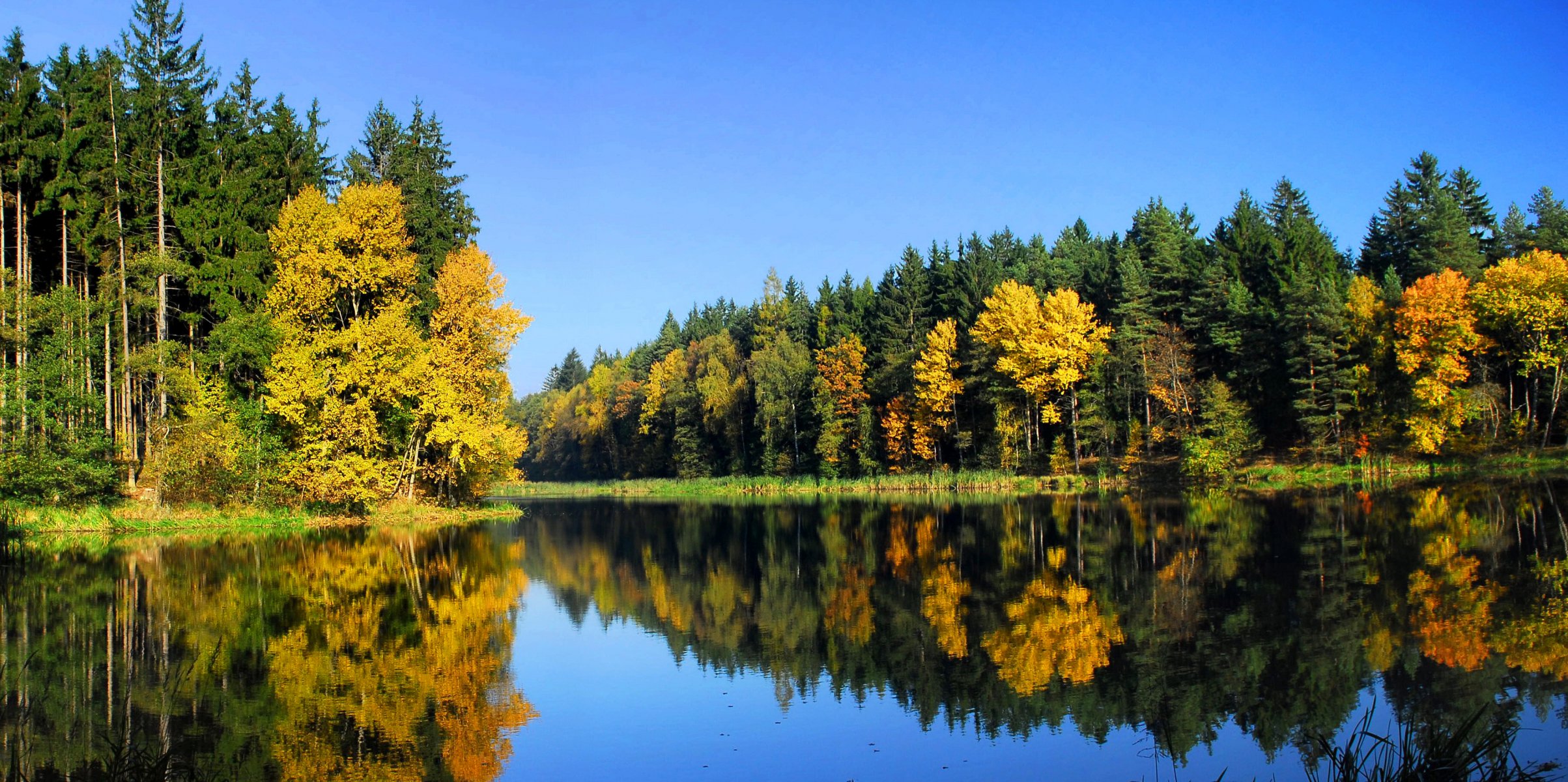 paisaje naturaleza otoño río bosque árboles