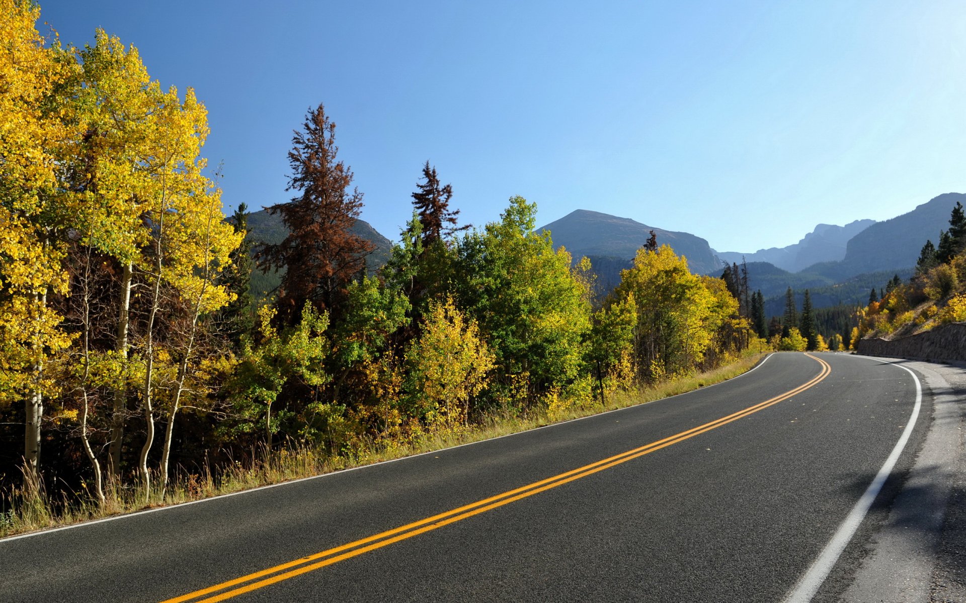 route automne arbres