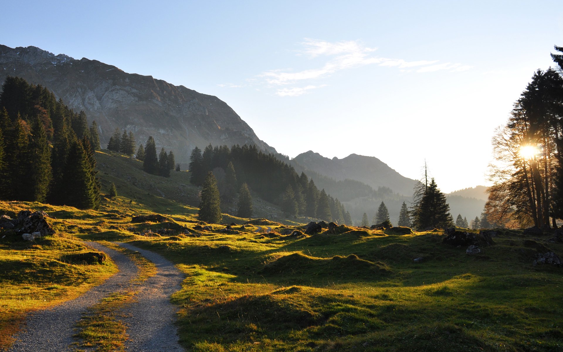 road track grass green slope mountain night sun tree spruce stones sky a clear day summer