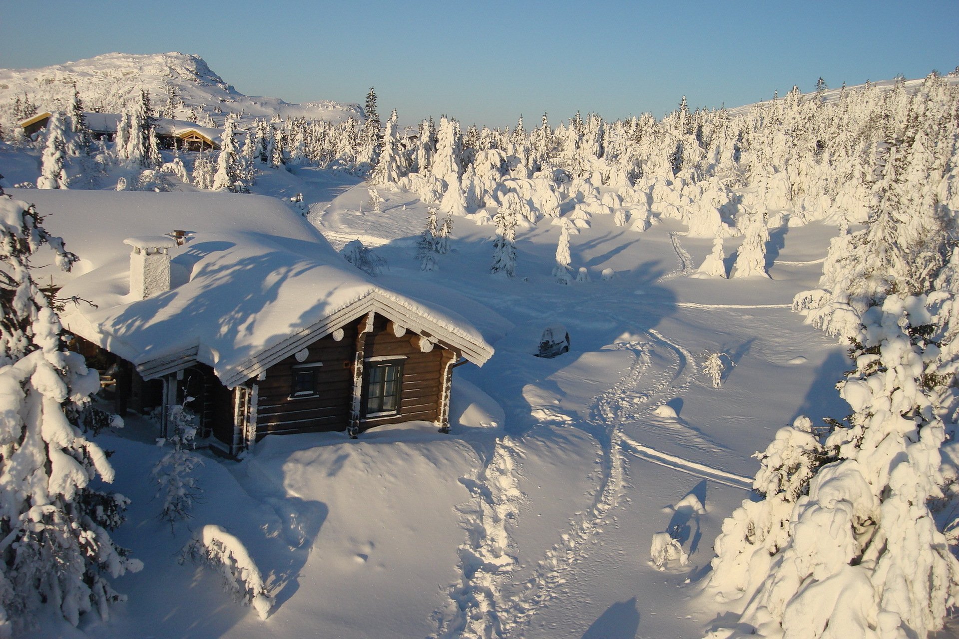 inverno neve casa alberi natura