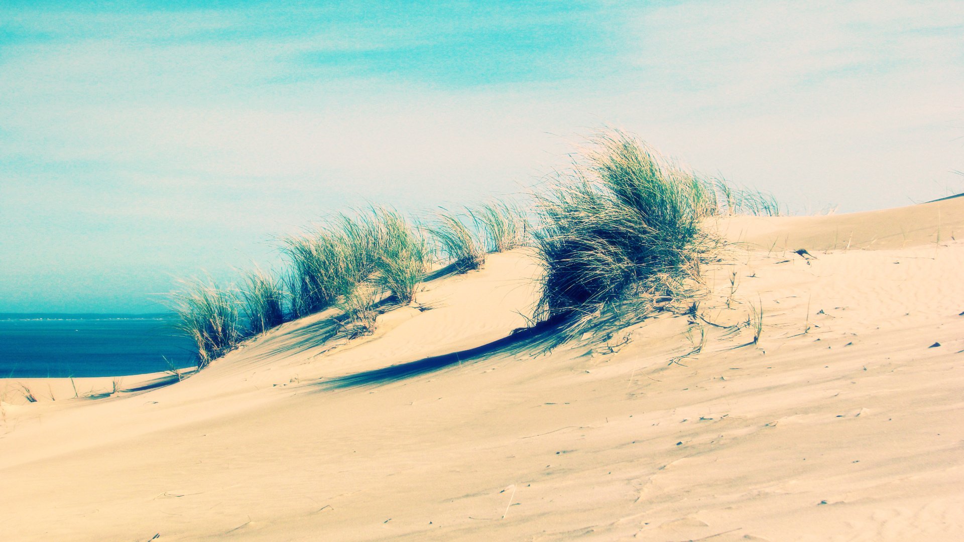 plage sable mer herbe