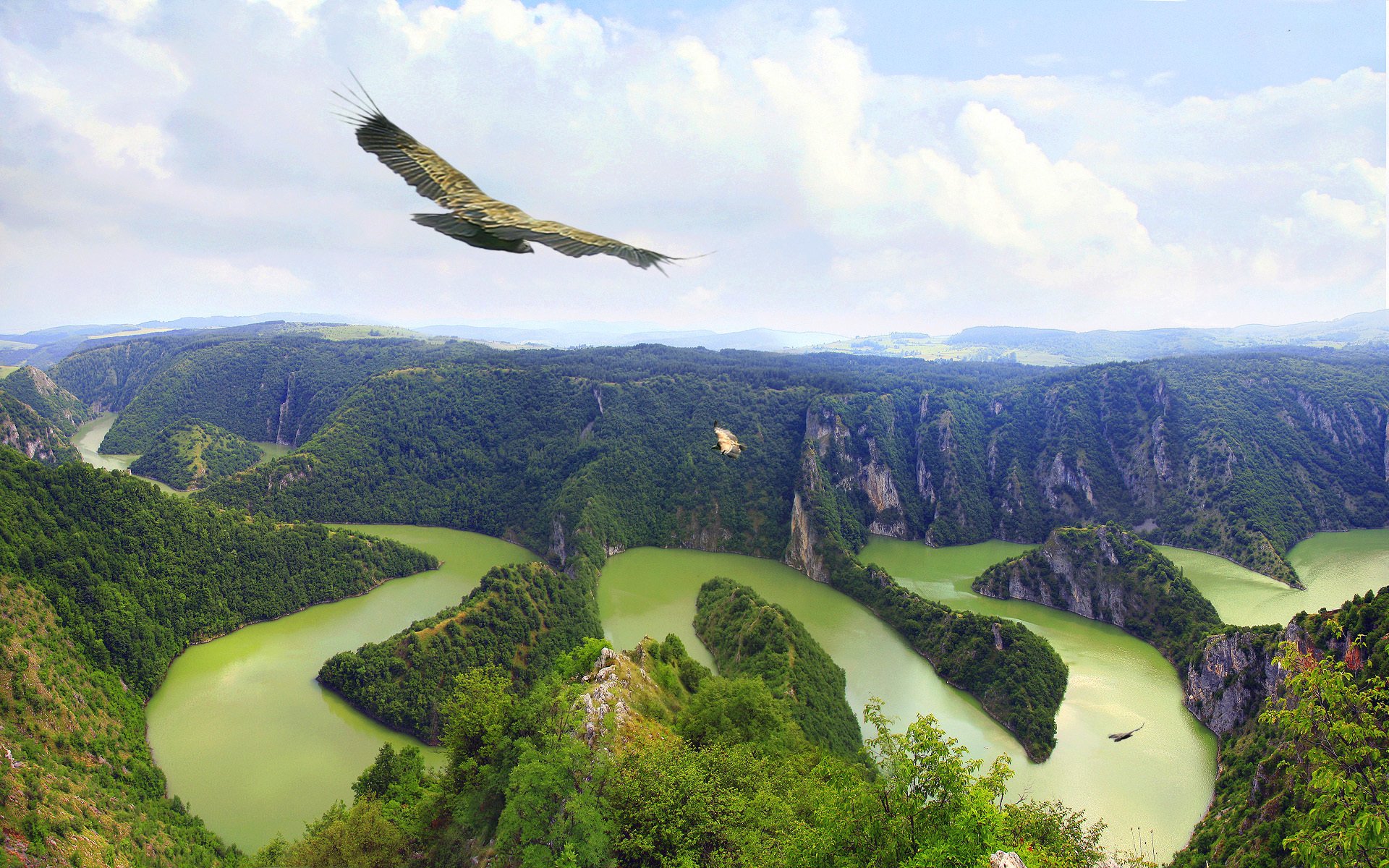 montañas bosque río cauce curvas pájaro