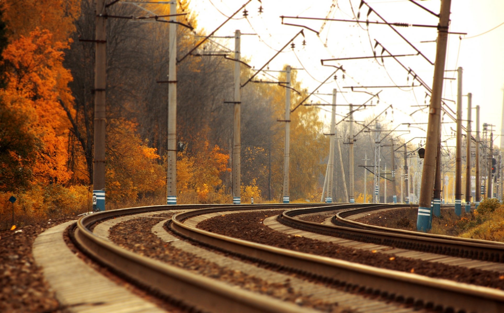 road rails trains landscape autumn train gold photos trees path