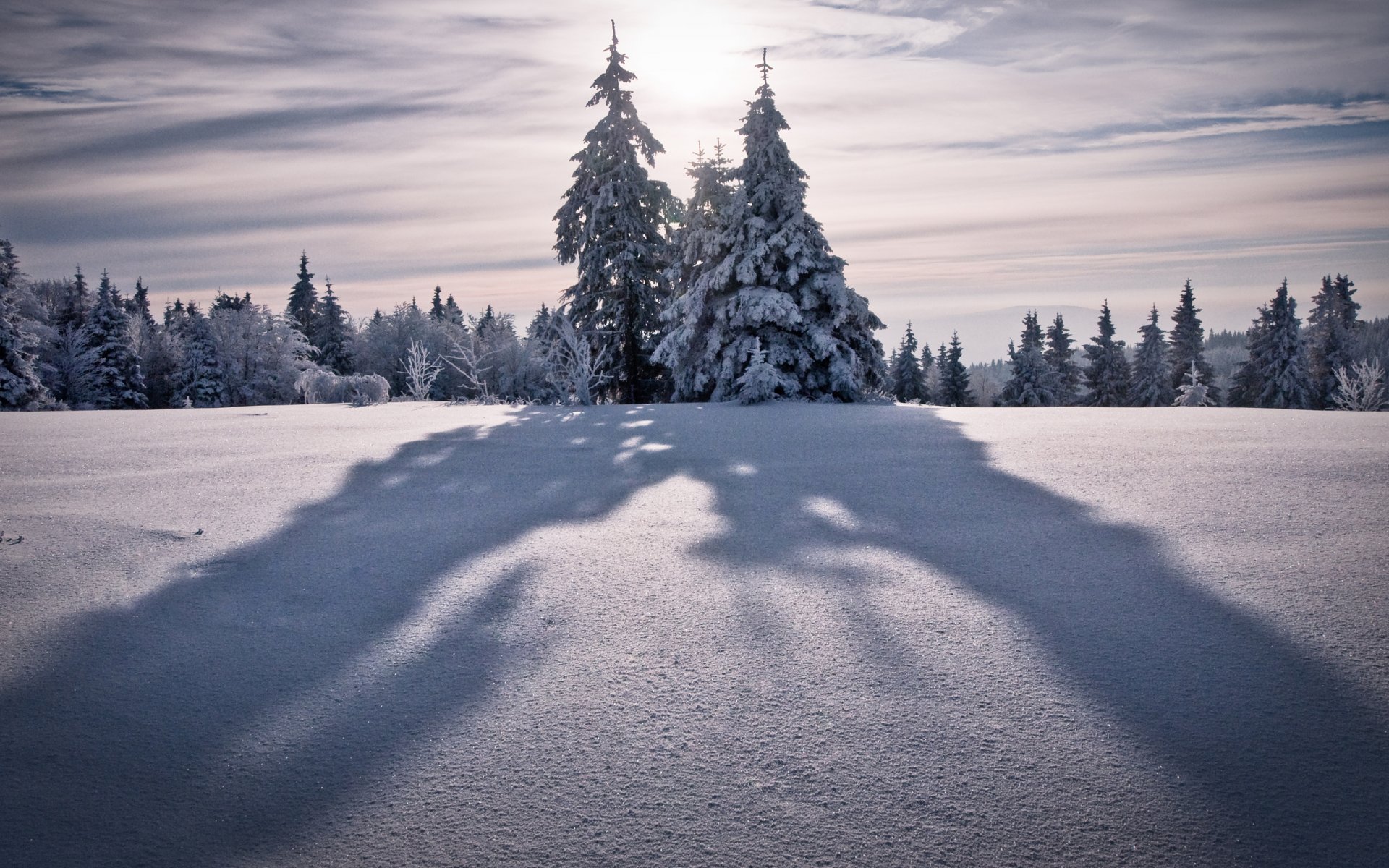 paesaggio invernale natura inverno carta da parati invernale albero alberi abete rosso abete rosso albero di natale neve nevicata montagna montagna picco cime vento cielo altitudine natura invernale sole ombra ombra