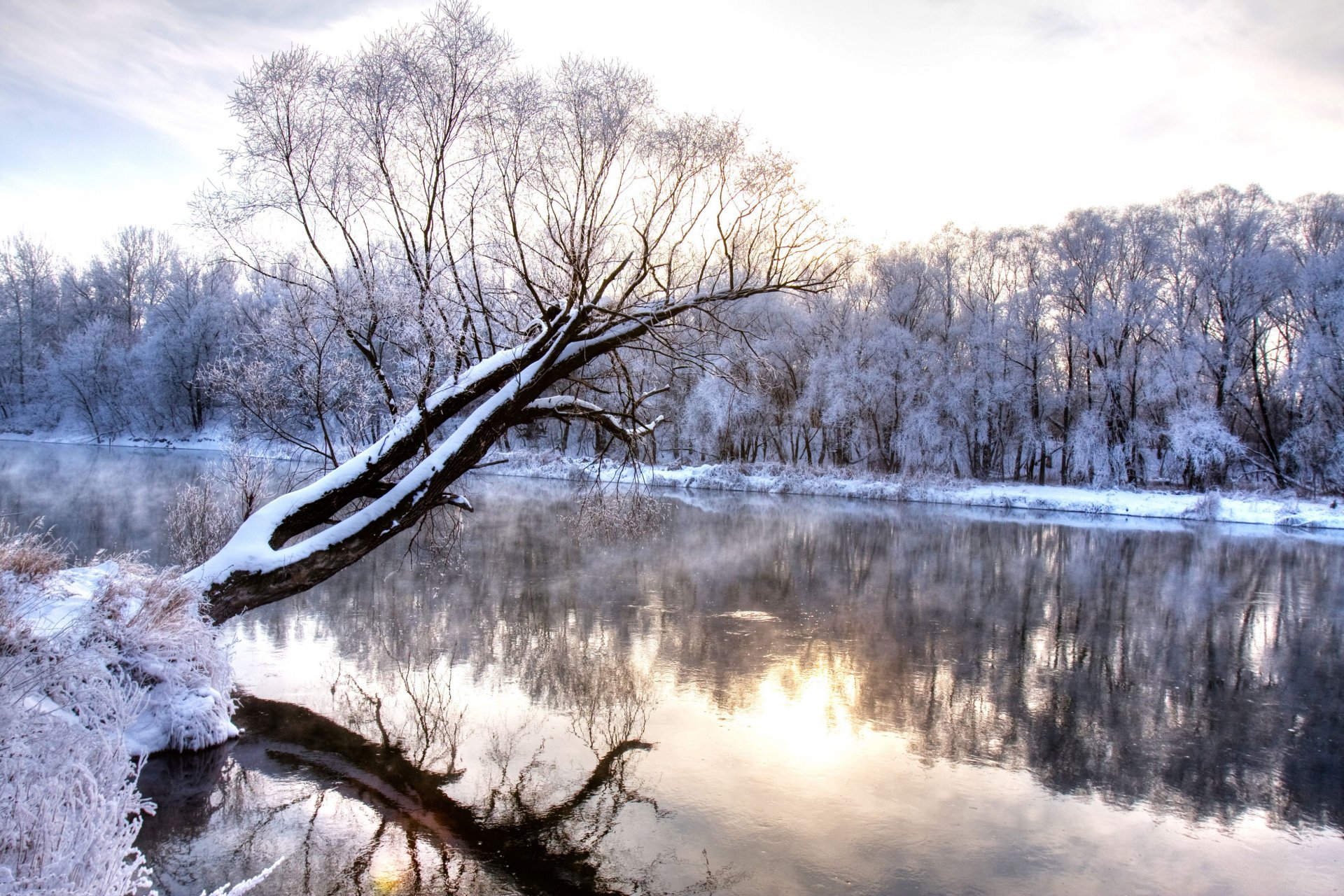 winter river branch frozen forest nature landscape cold season wonderland winter cool frost snow-capped tree river nature landscape reflection