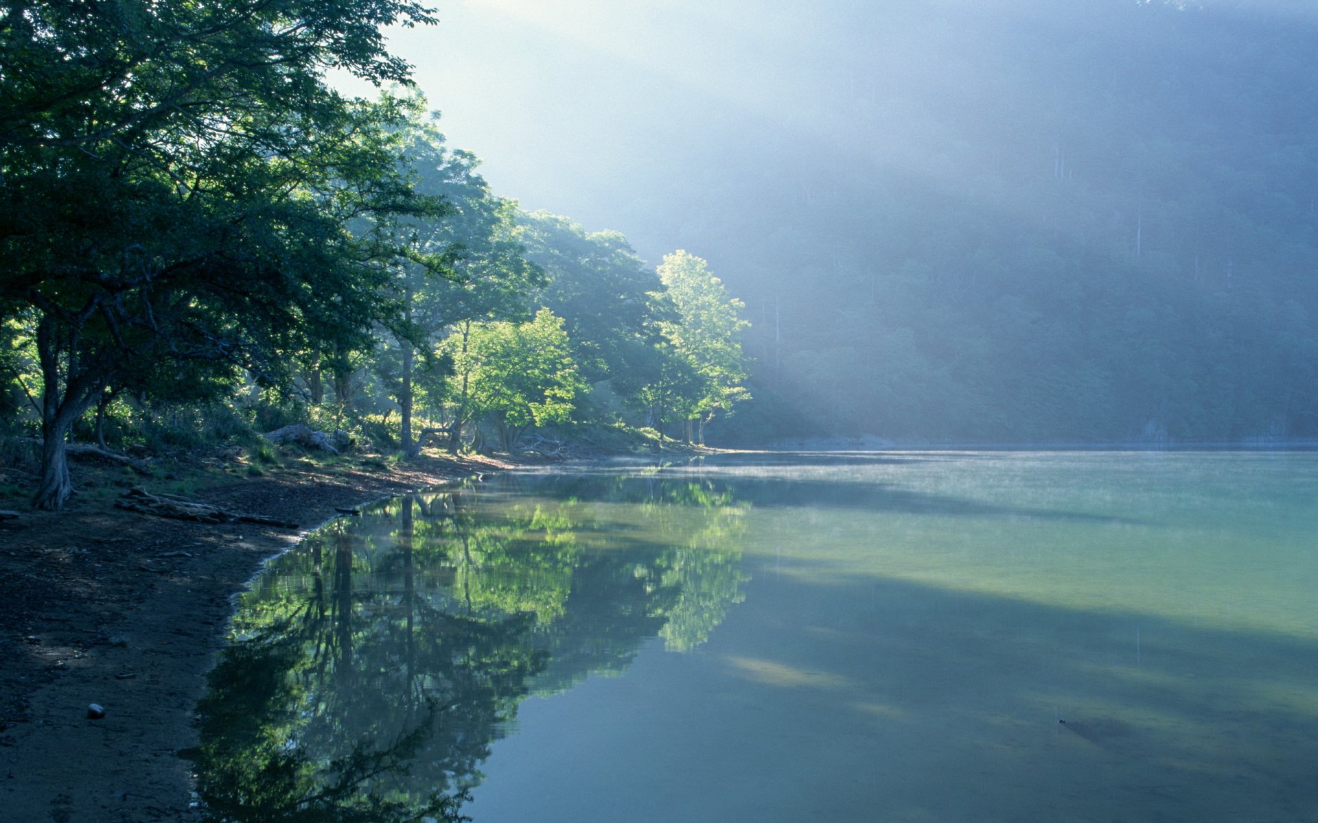 landschaft natur nebel see wasser ufer licht sonne bäume 2560x1600