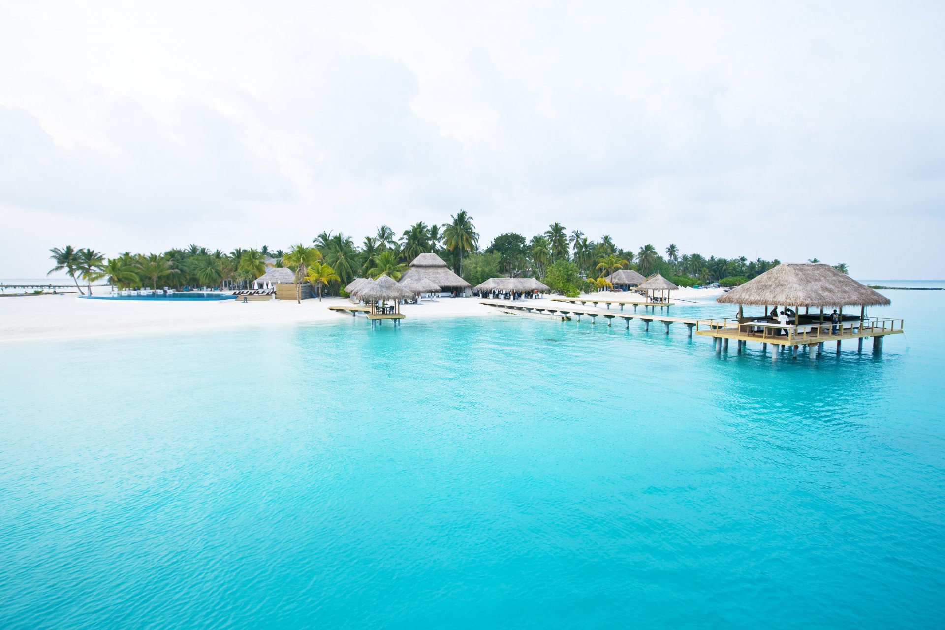 maldives seychelles île