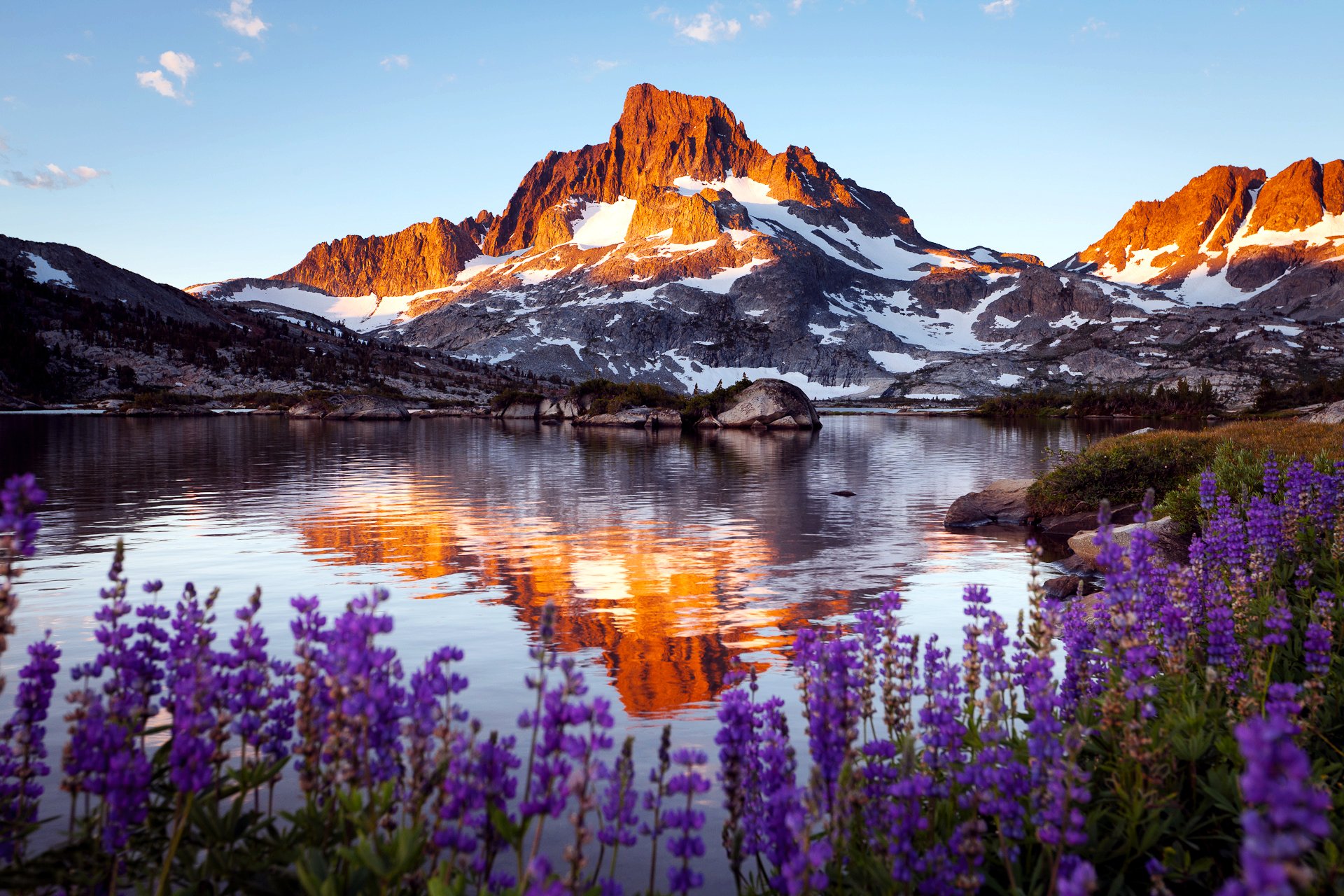 montagna roccia lago fiori