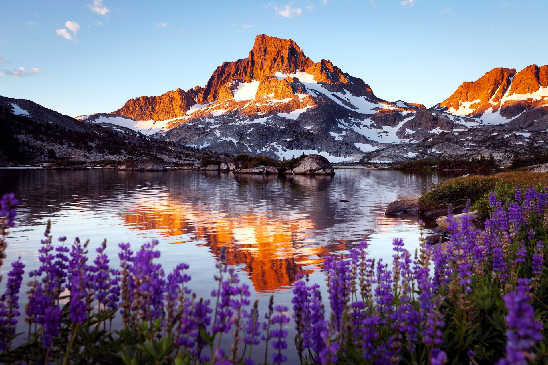 mountain rock lake flower