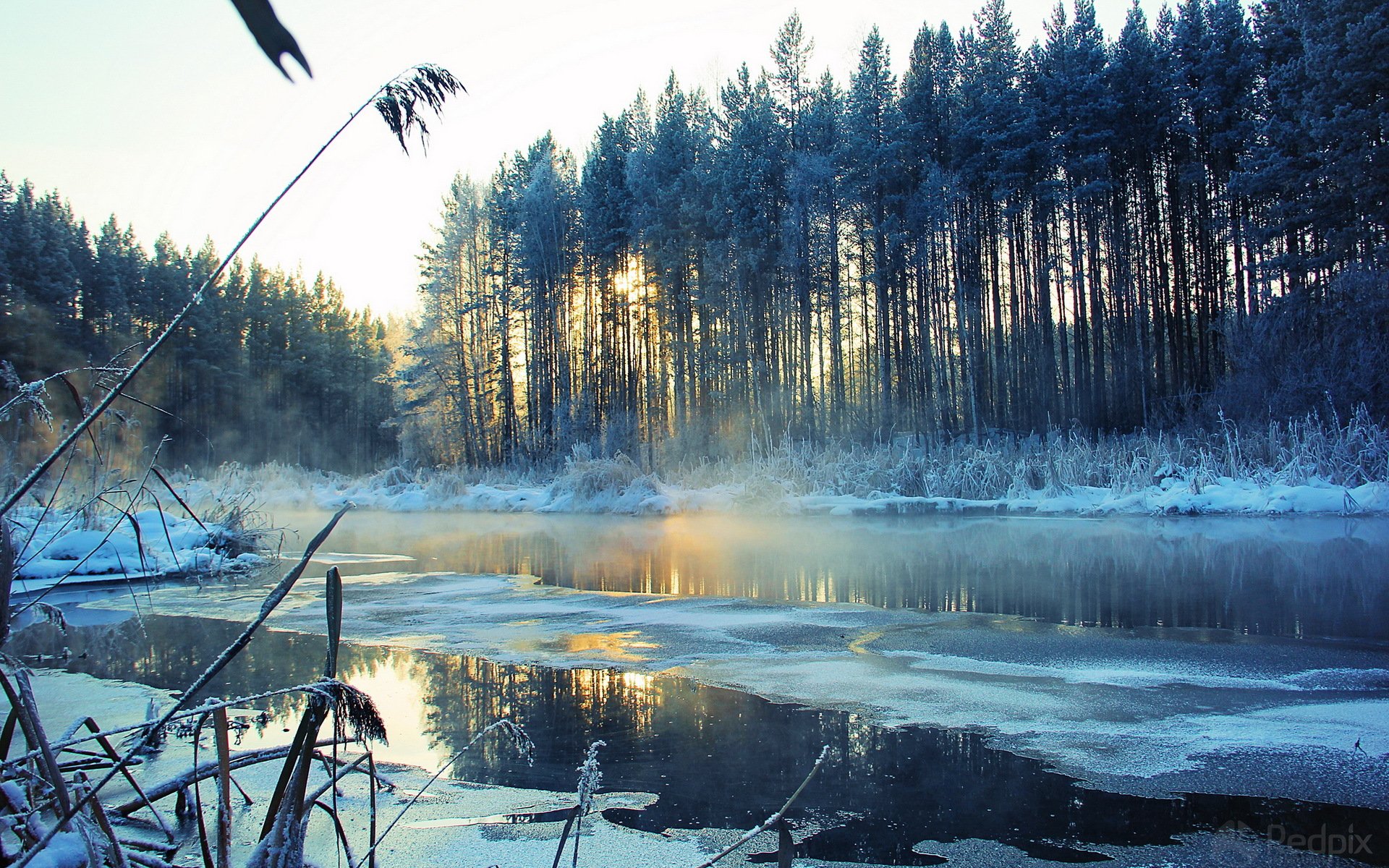 winter fluss landschaft schnee bäume