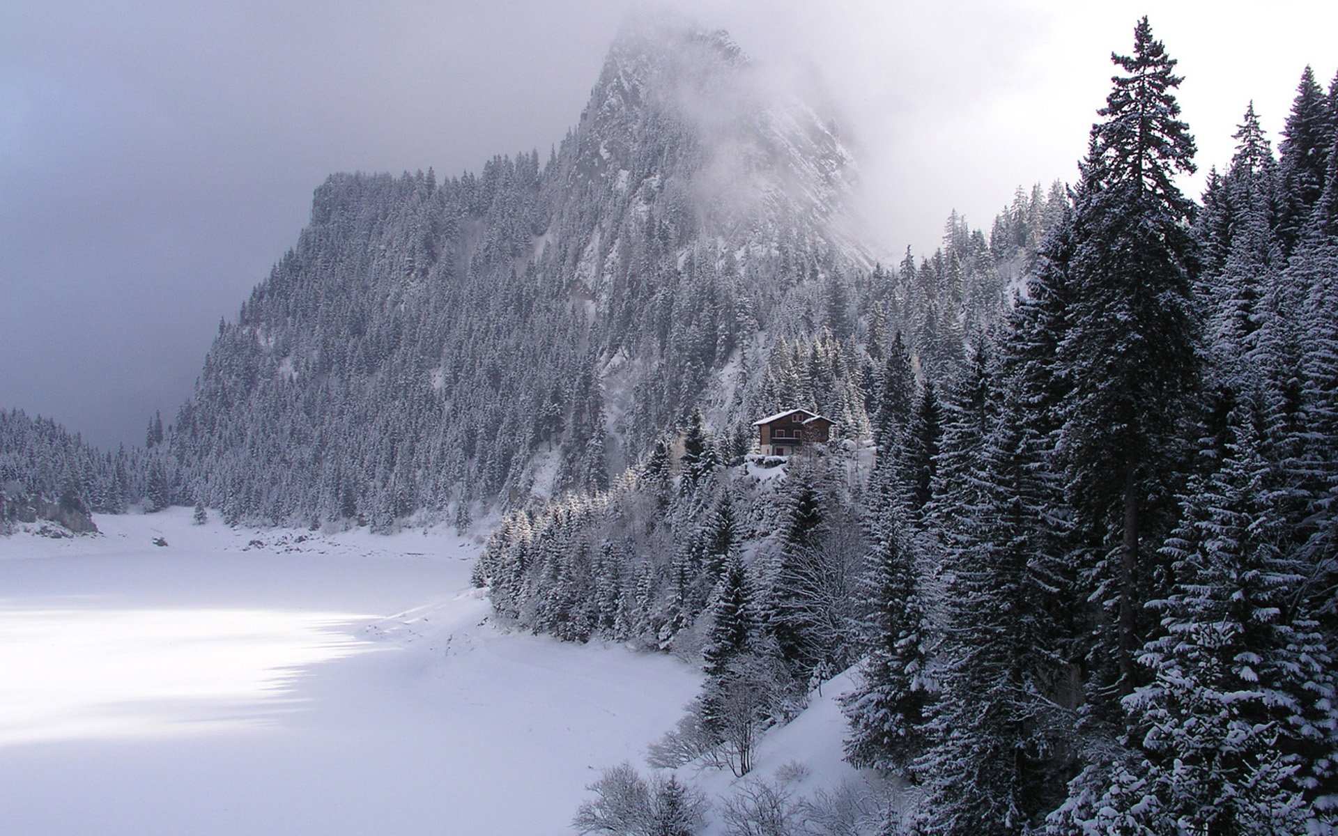 inverno foresta montagne casetta