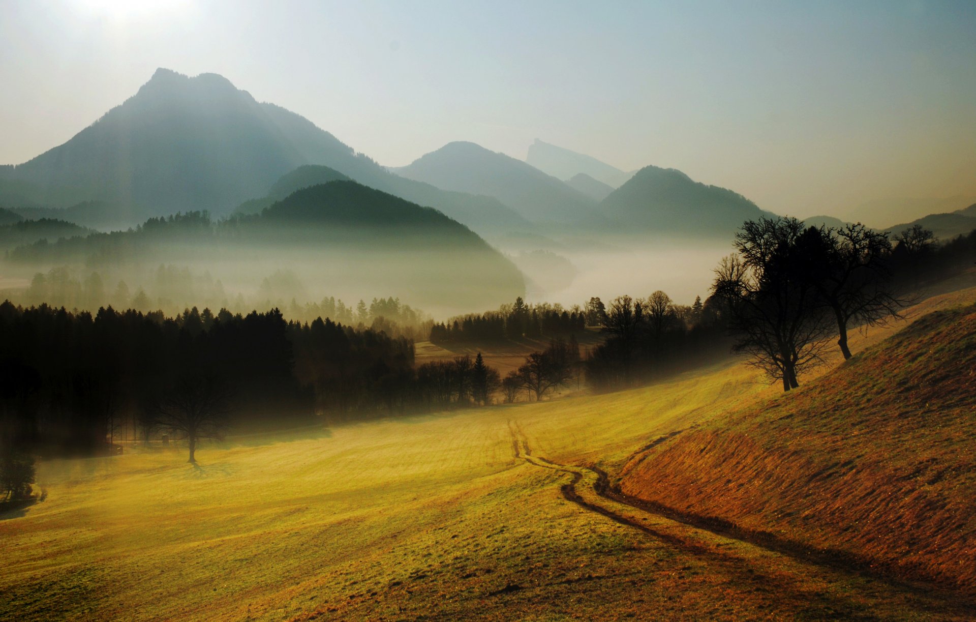 hügel berge lichtung bäume wald straße fußweg nebel dunst horizont natur landschaft