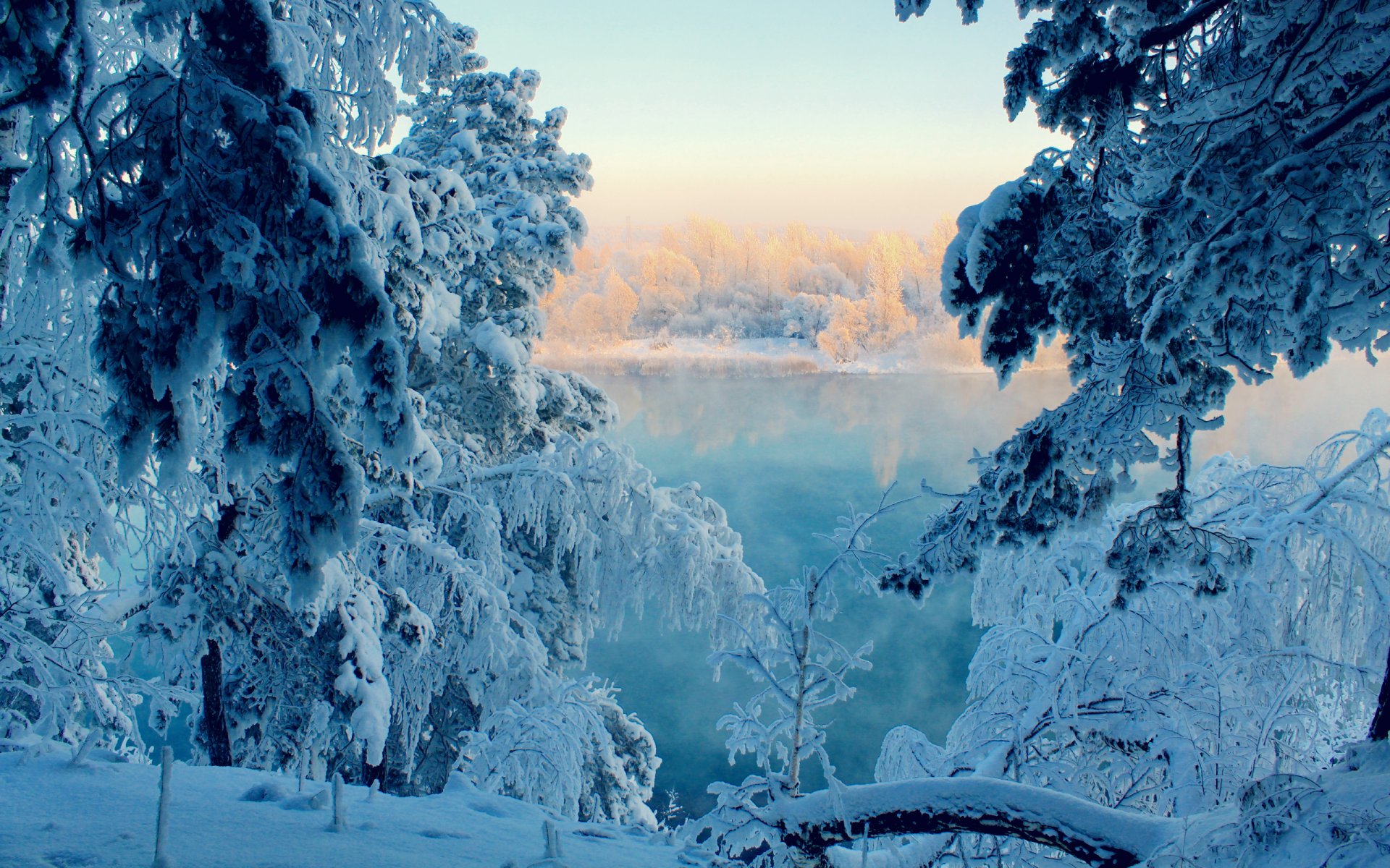 hiver forêt neige conte de fées