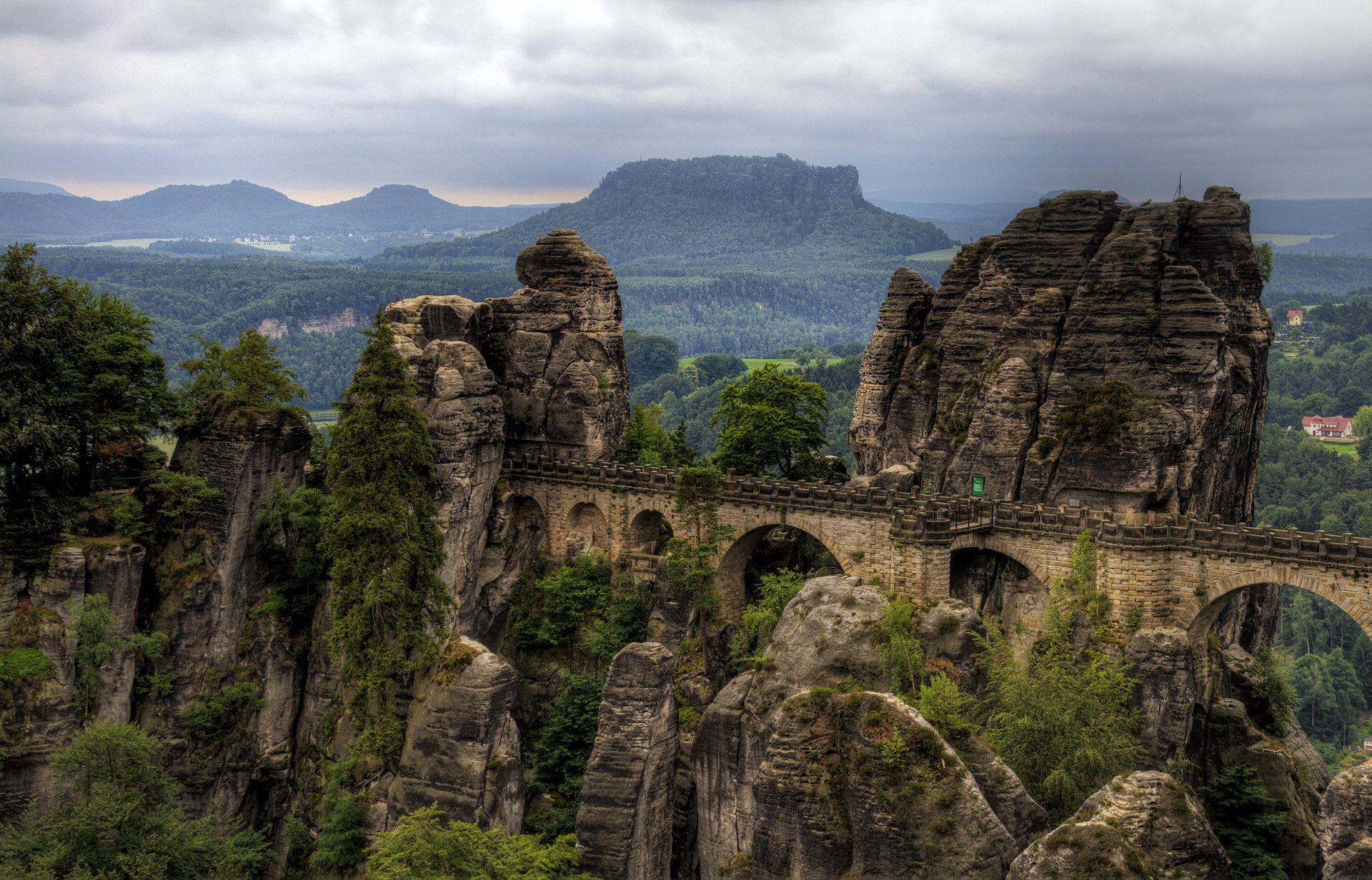 germany national park bridge mountain rock forest