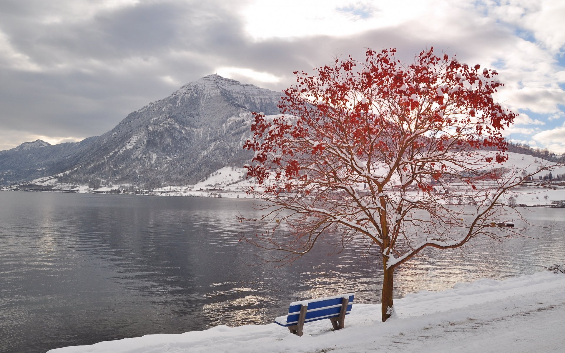 inverno fiume montagne albero panchina