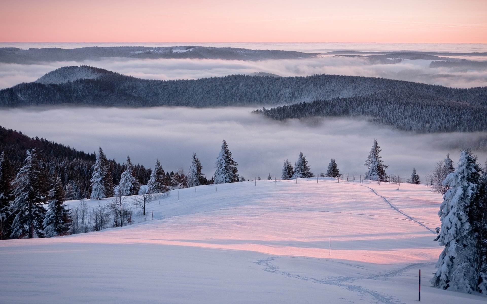 paysages d hiver nature d hiver neige montagne montagnes forêts arbre arbres descentes pentes brouillards brume silence calme beauté beaux endroits photo d hiver photo d hiver matin