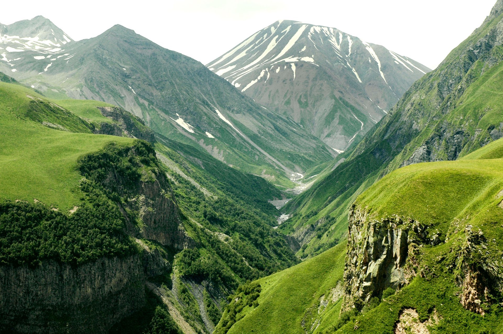 montagne valle altitudine pendenza foresta alberi distesa