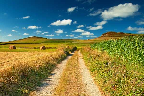 Strada del villaggio nel campo. Rotoli di fieno. Mais. Vaste distese