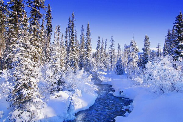 A streamlet in a fabulous winter forest