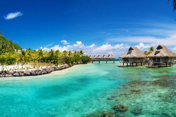 Casas en Bora Bora entre palmeras