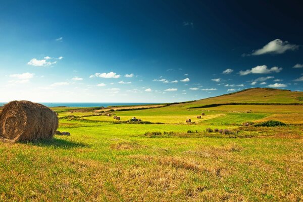 Prairie sans fin avec horizon bleu