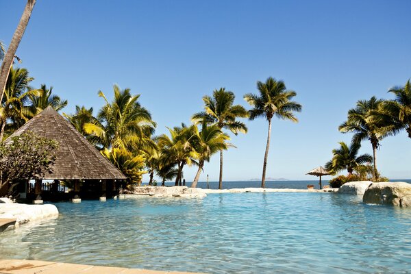 Vacances paradisiaques sur l île de Fidji